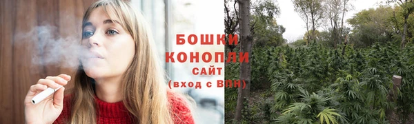 стафф Майский