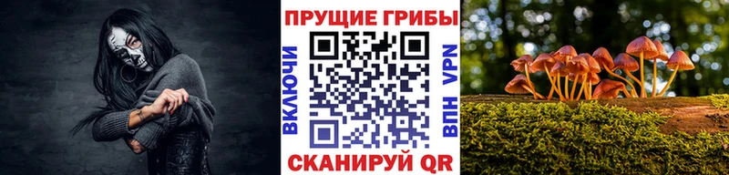 Псилоцибиновые грибы мицелий купить закладку Троицк