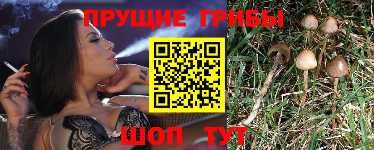 Галлюциногенные грибы мицелий Троицк