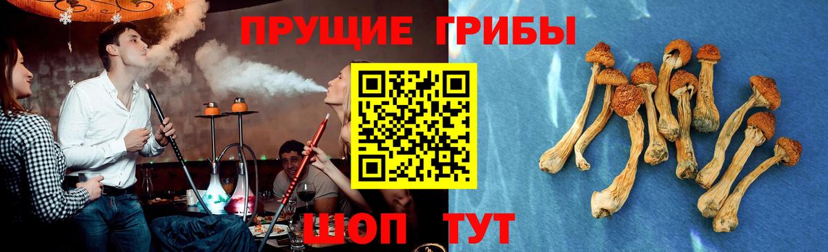Галлюциногенные грибы GOLDEN TEACHER  Вход с VPN  Троицк 
